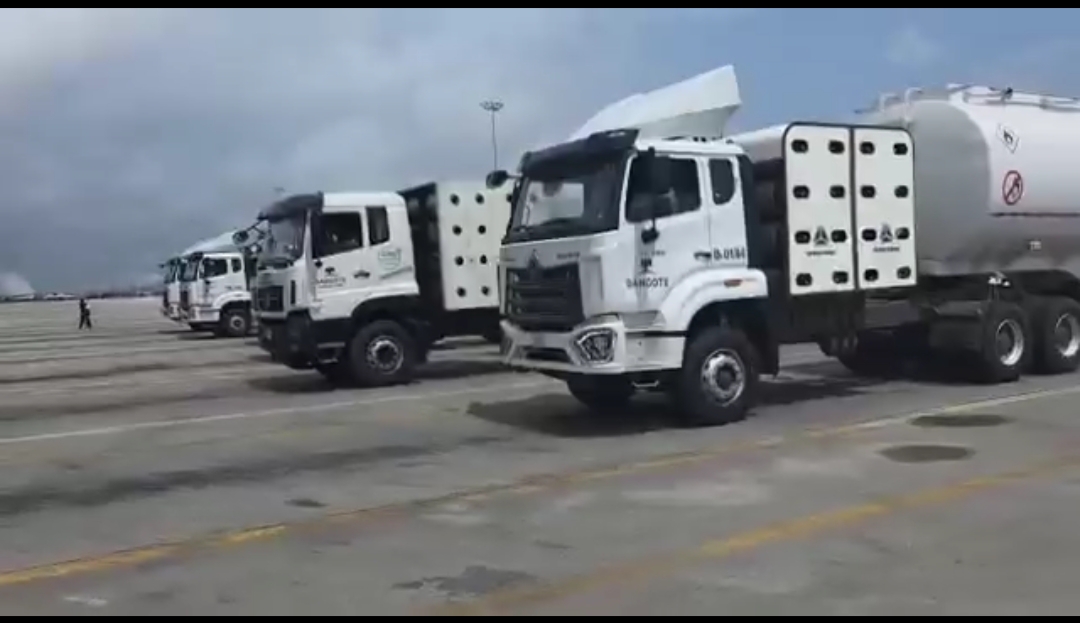 Dangote trucks